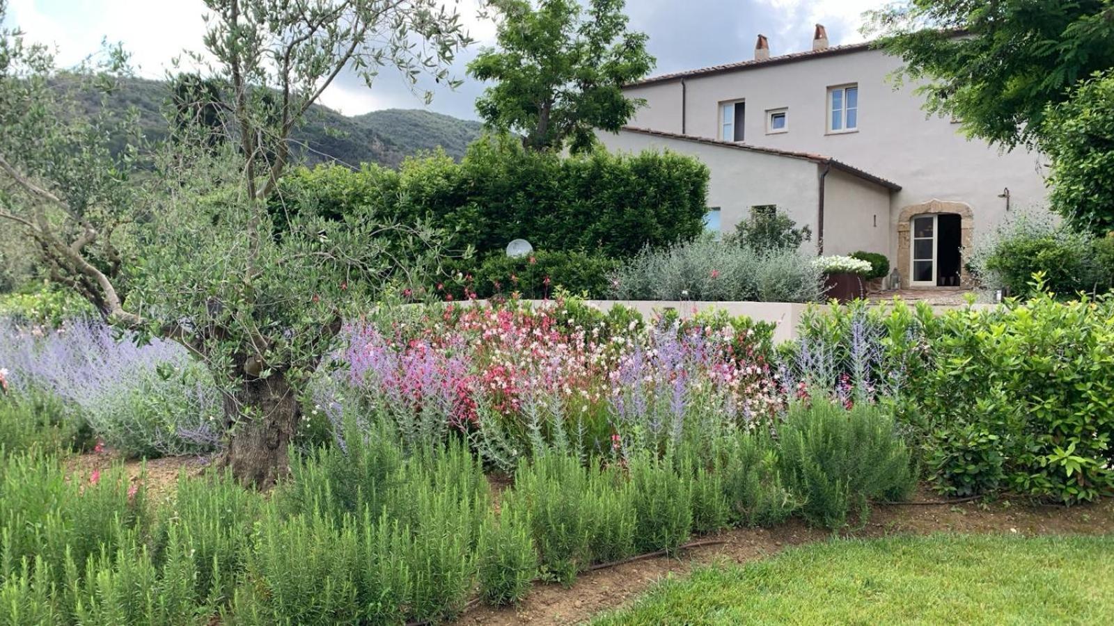 Tenuta Santa Caterina Portoferraio Exterior photo