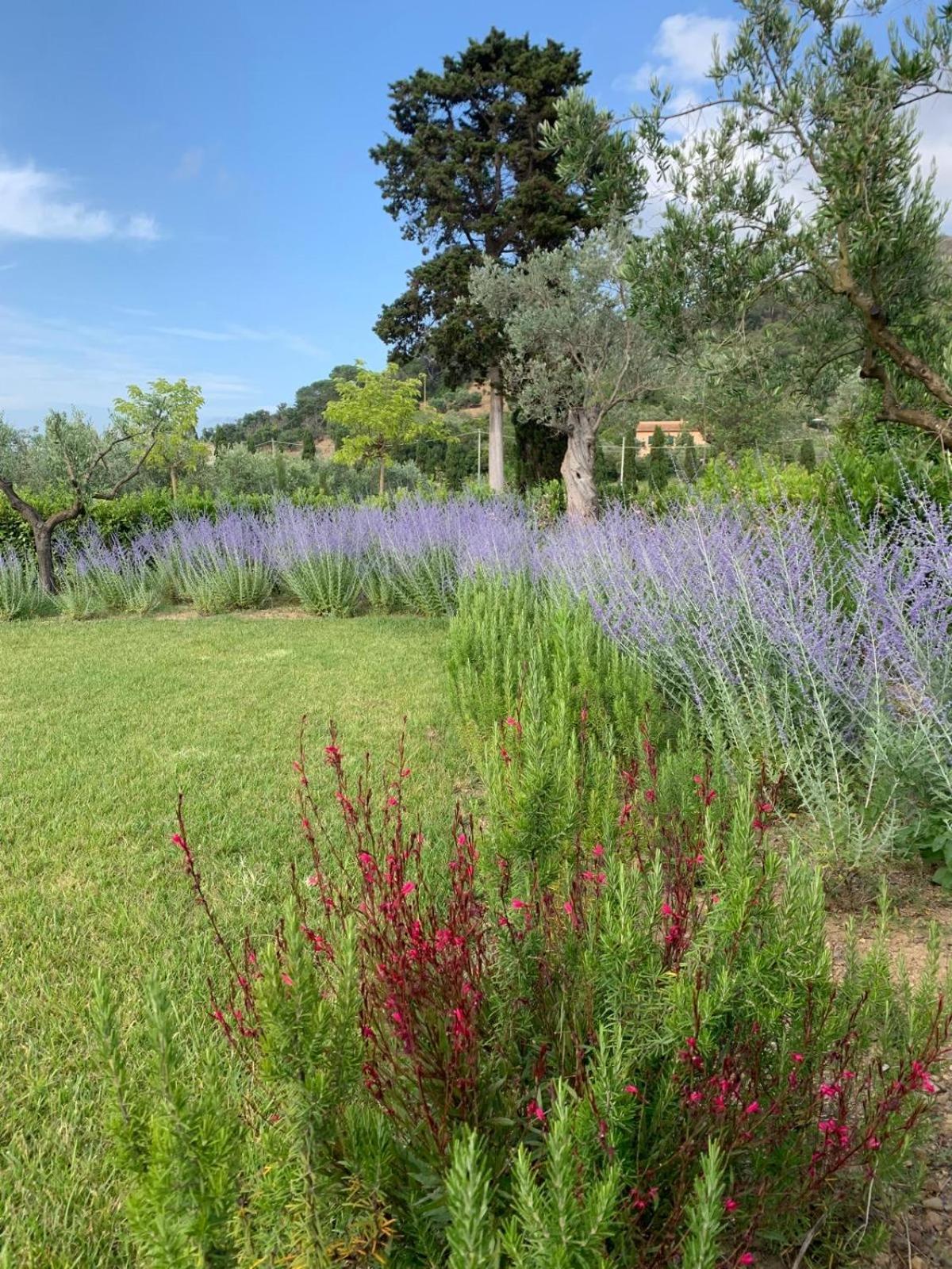 Tenuta Santa Caterina Portoferraio Exterior photo